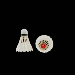 Babolat 1